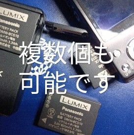Lumix ルミックス  純正バッテリー DMW-BCG10 電池パック Panasonic