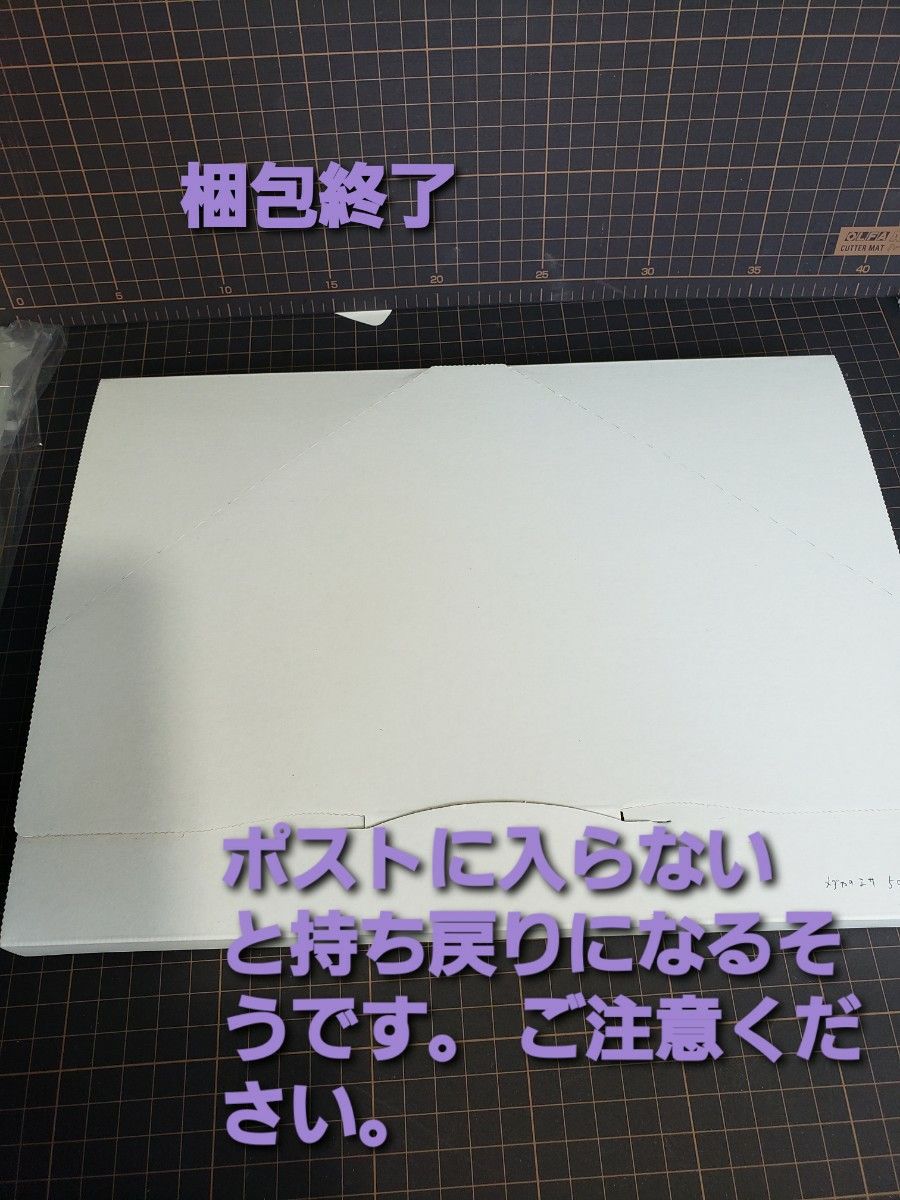 メダカなどの稚魚のエサ ゾウリムシ 400ml  PSB添加 めだか針子稚魚みじんこに