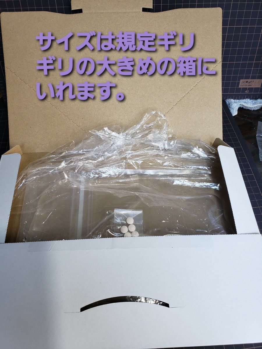 メダカなどの稚魚のエサ ゾウリムシ 400ml  PSB添加 めだか針子稚魚みじんこに