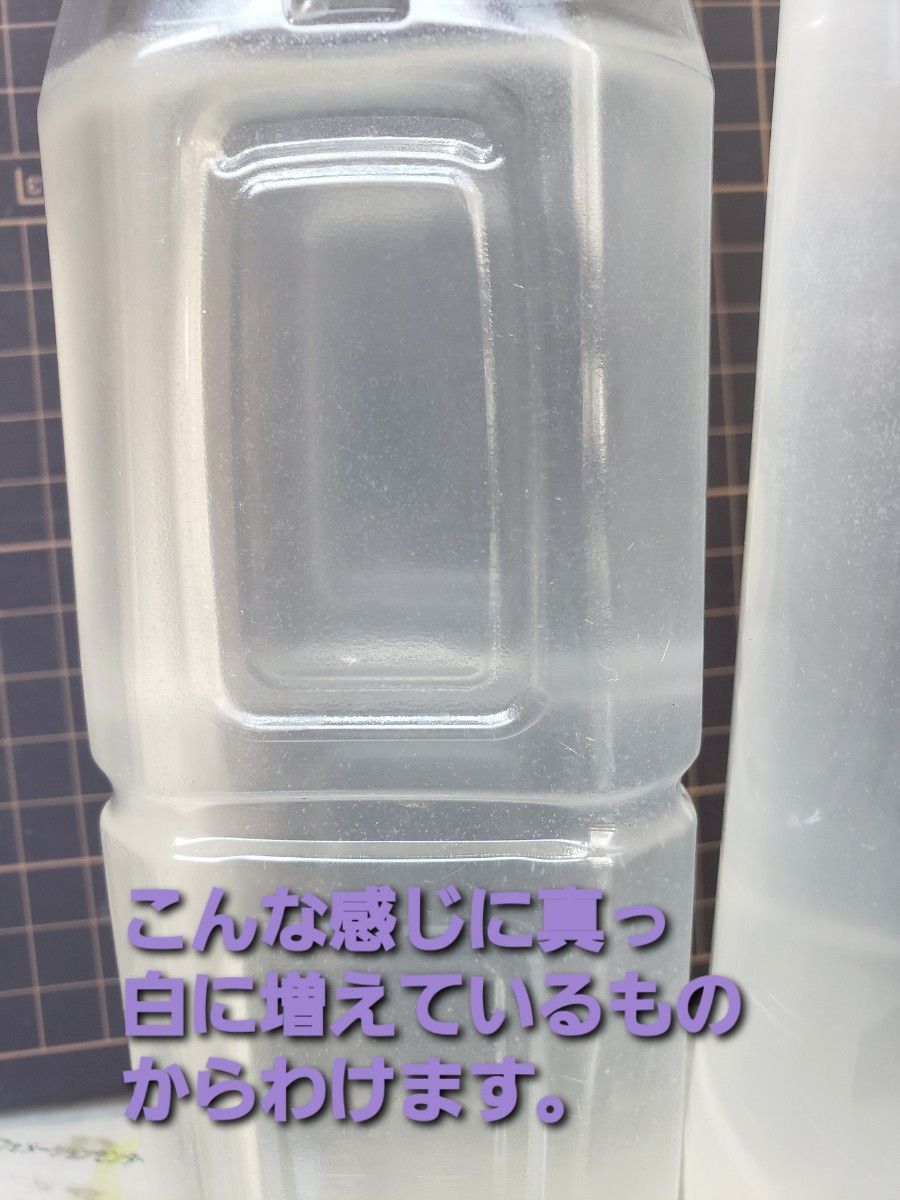 メダカなどの稚魚のエサ ゾウリムシ 400ml  PSB添加 めだか針子稚魚みじんこに