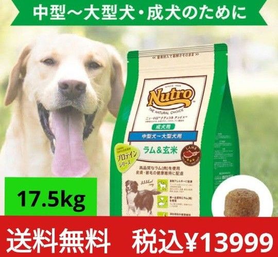 ニュートロナチュラルチョイス  ラム＆玄米  中型犬  大型犬  成犬用   17.5kg