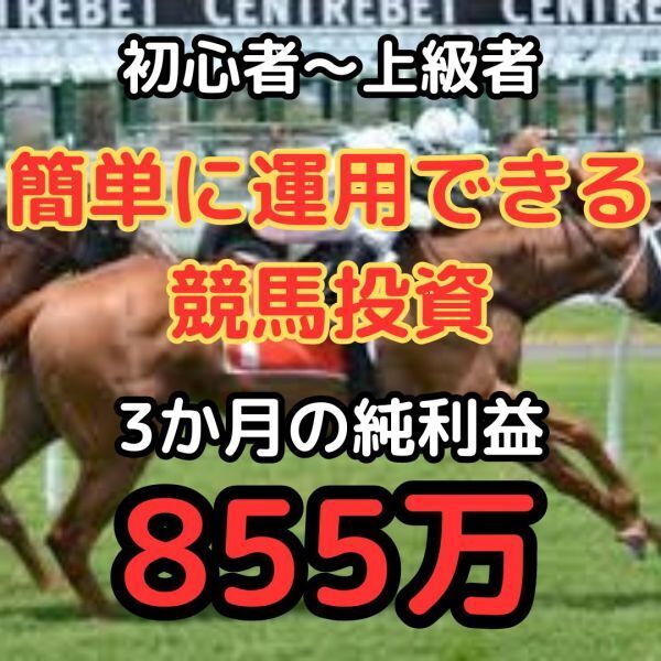 【競馬初心者でも簡単に運用が出来る競馬投資】　PDF　競馬　投資　ギャンブル　必勝法　運用　馬　馬券　天皇賞　秋華賞１　(8)_画像1