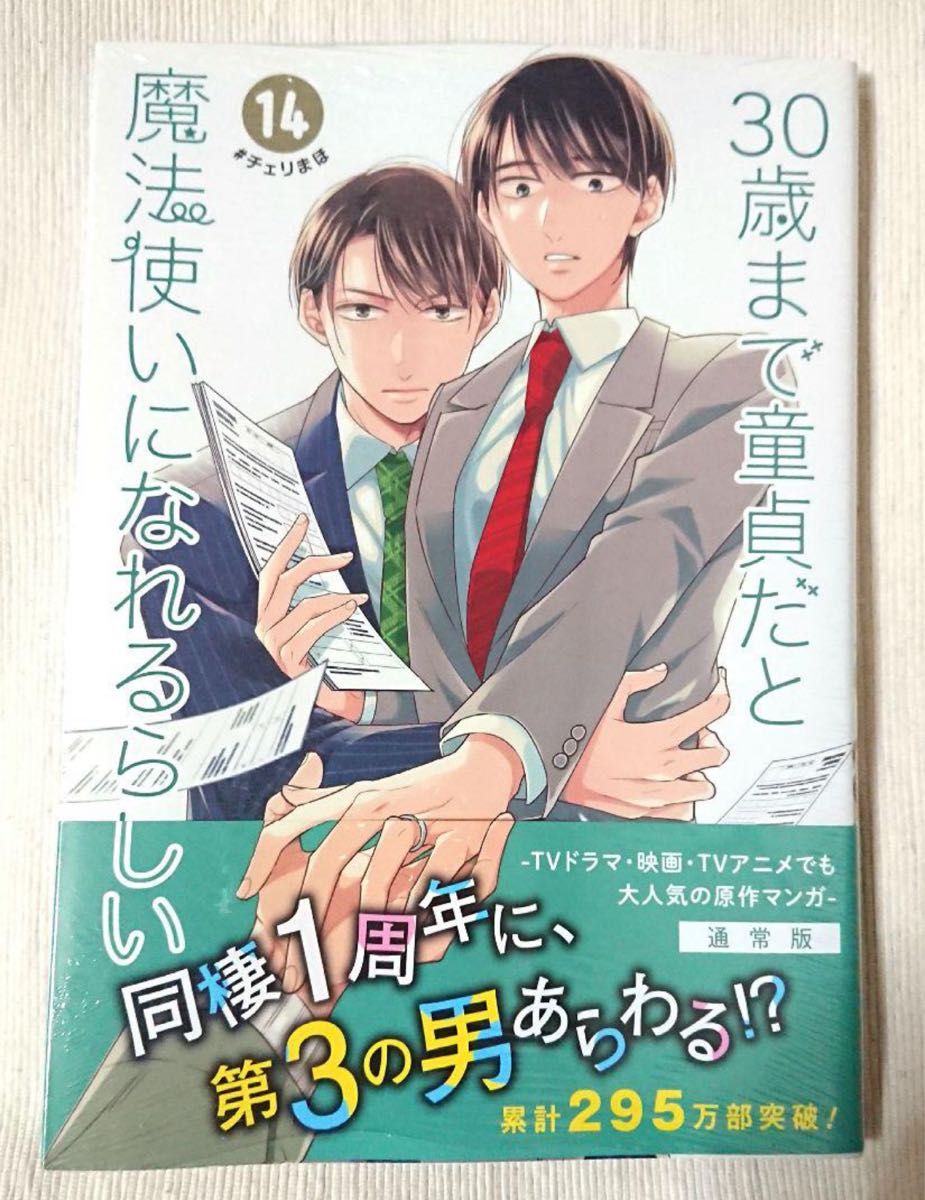 30歳まで童貞だと魔法使いになれるらしい(14) チェリまほ