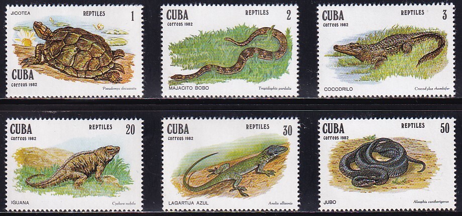 23 キューバ【未使用】＜「1982 SC#2518-2523 爬虫類」 6種完 ＞_画像1