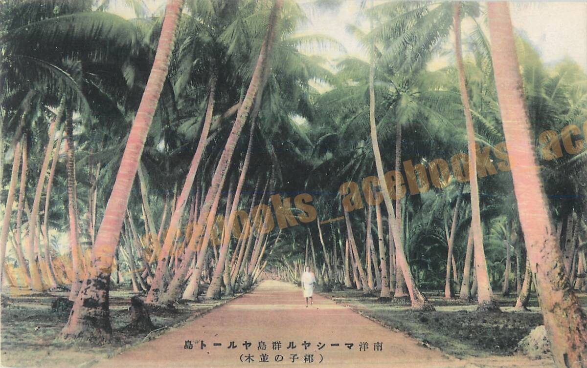 南洋マーシャル群島ヤルート島 5枚 / 絵葉書 写真 戦前 資料_画像4