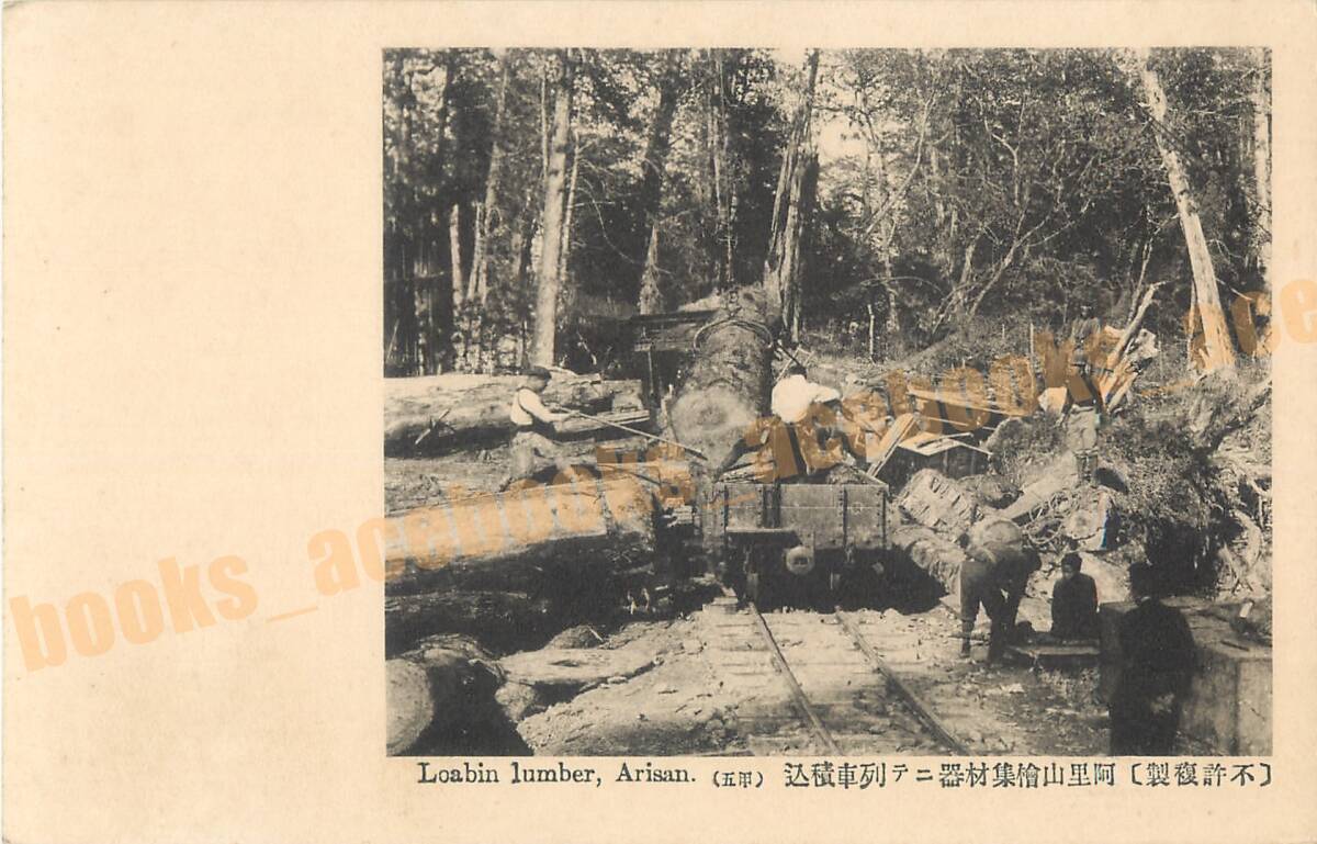 台湾 阿里山 檜集材器にて列車積込 / 絵葉書 写真 戦前 資料 B_画像2