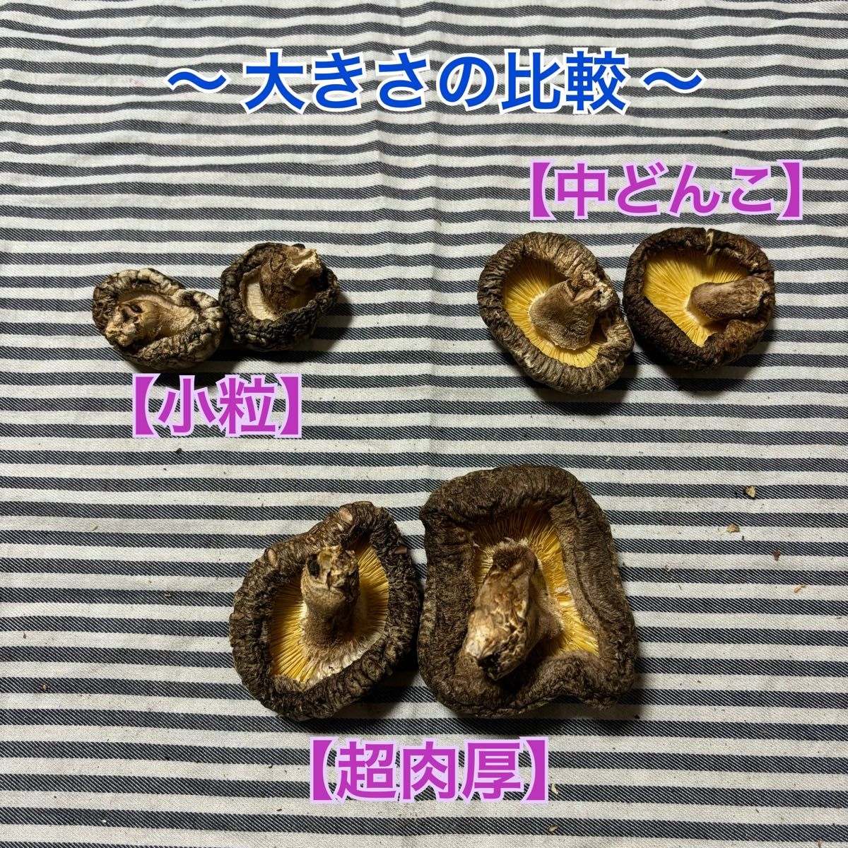 大分県産原木乾燥椎茸（小粒・小）