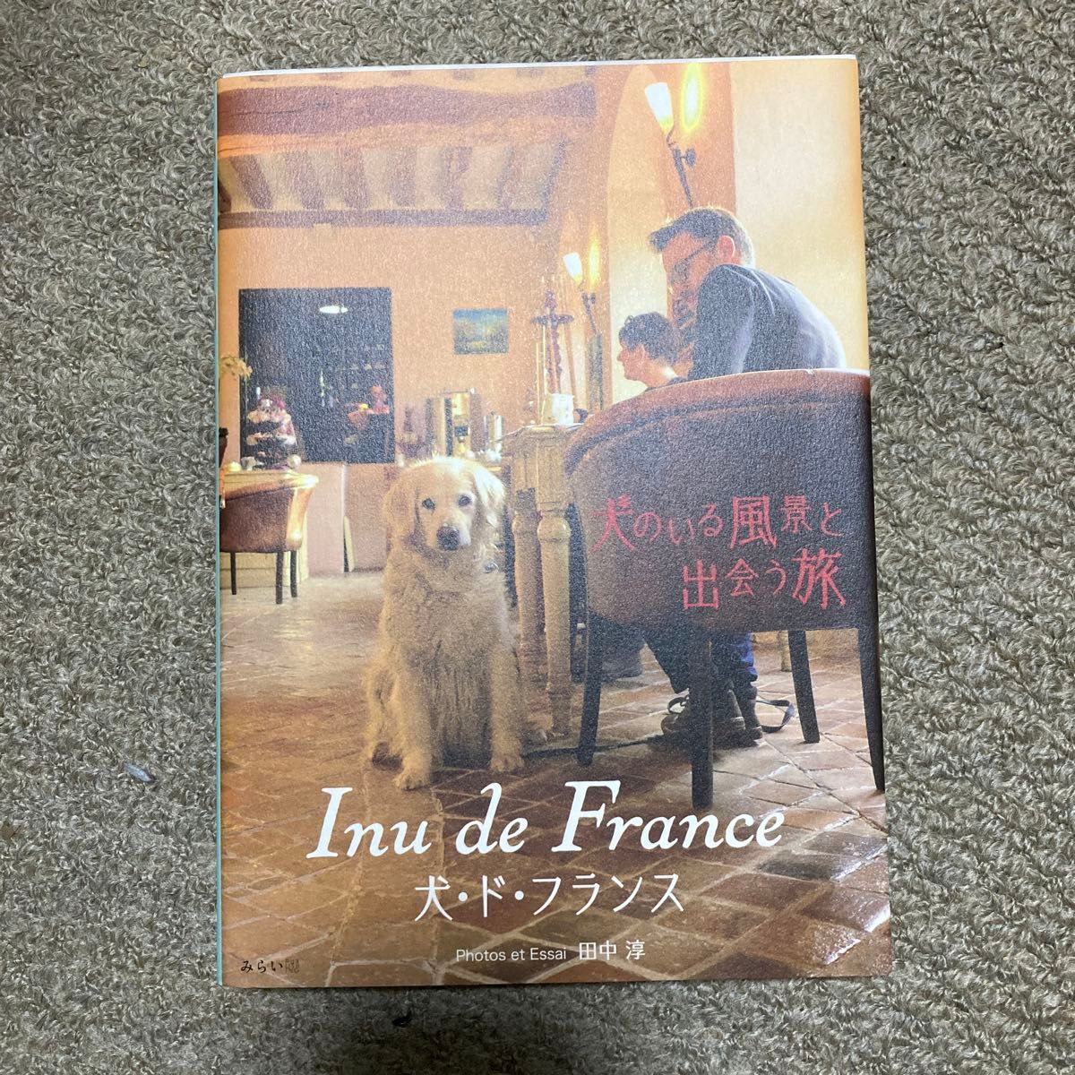 犬・ド・フランス　犬のいる風景と出会う旅 （ビジュアルガイドシリーズ） 田中淳／著