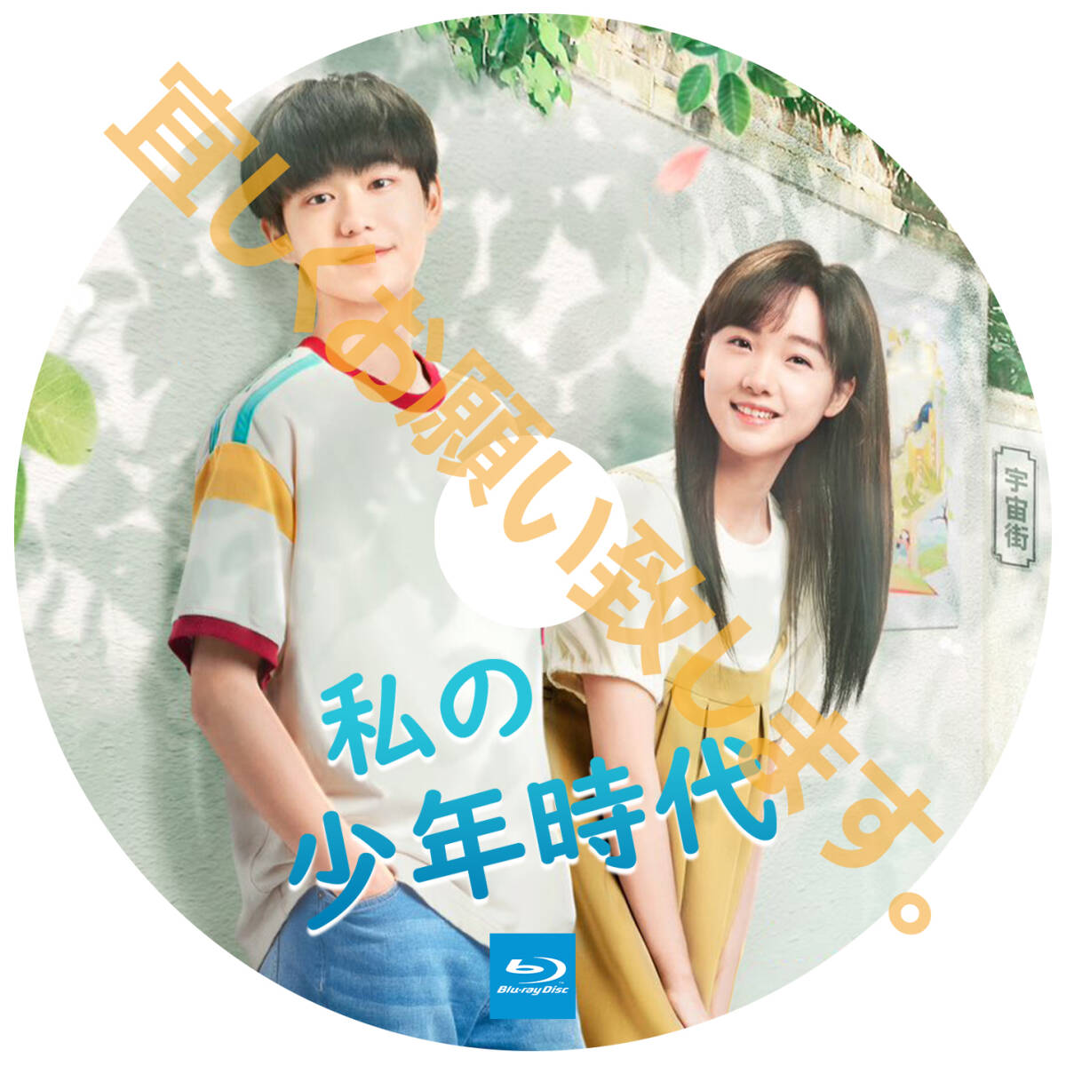 A. 238【中国ドラマ/AI翻訳版】「moon」私の少年時代　「by」【Blu-ray】「sea」_画像2