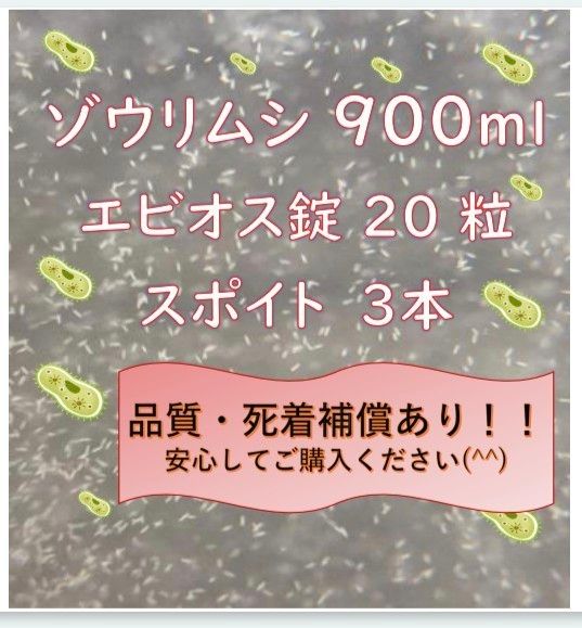 ゾウリムシ、エビオス錠、スポイトのセット!!(^o^)