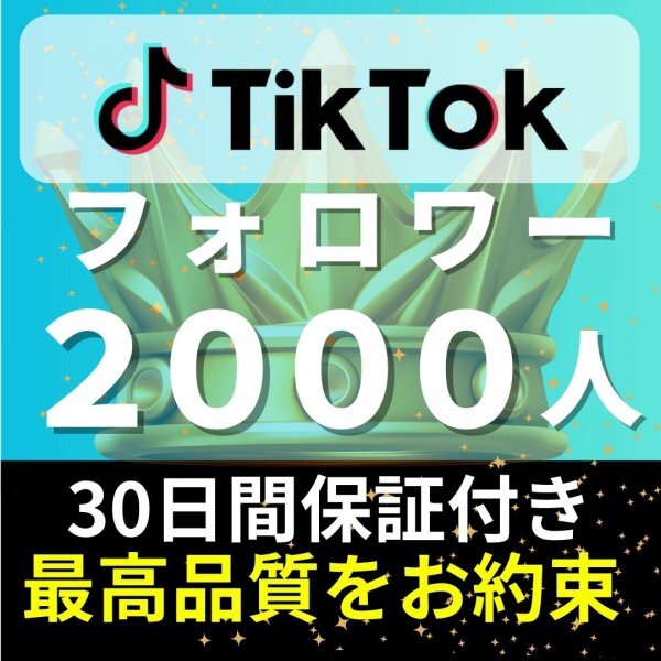 【安心安全★高品質★低価格★【TikTokフォロワー2000人】♪おまけ♪便利なSNS増加ツール！ SNS YouTube Instagram 他_画像1