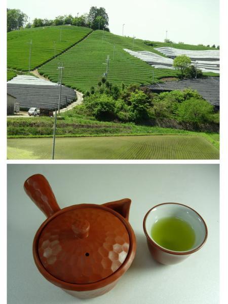 【特売】 おこしやす京都【宇治茶】へ高級玉露芽茶3本□■_画像3