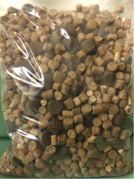  free shipping common carp fishing Blend pe let 4kg entering 6 kind pe let . combination ... also fi-teng also possible to use profitable pe let. 