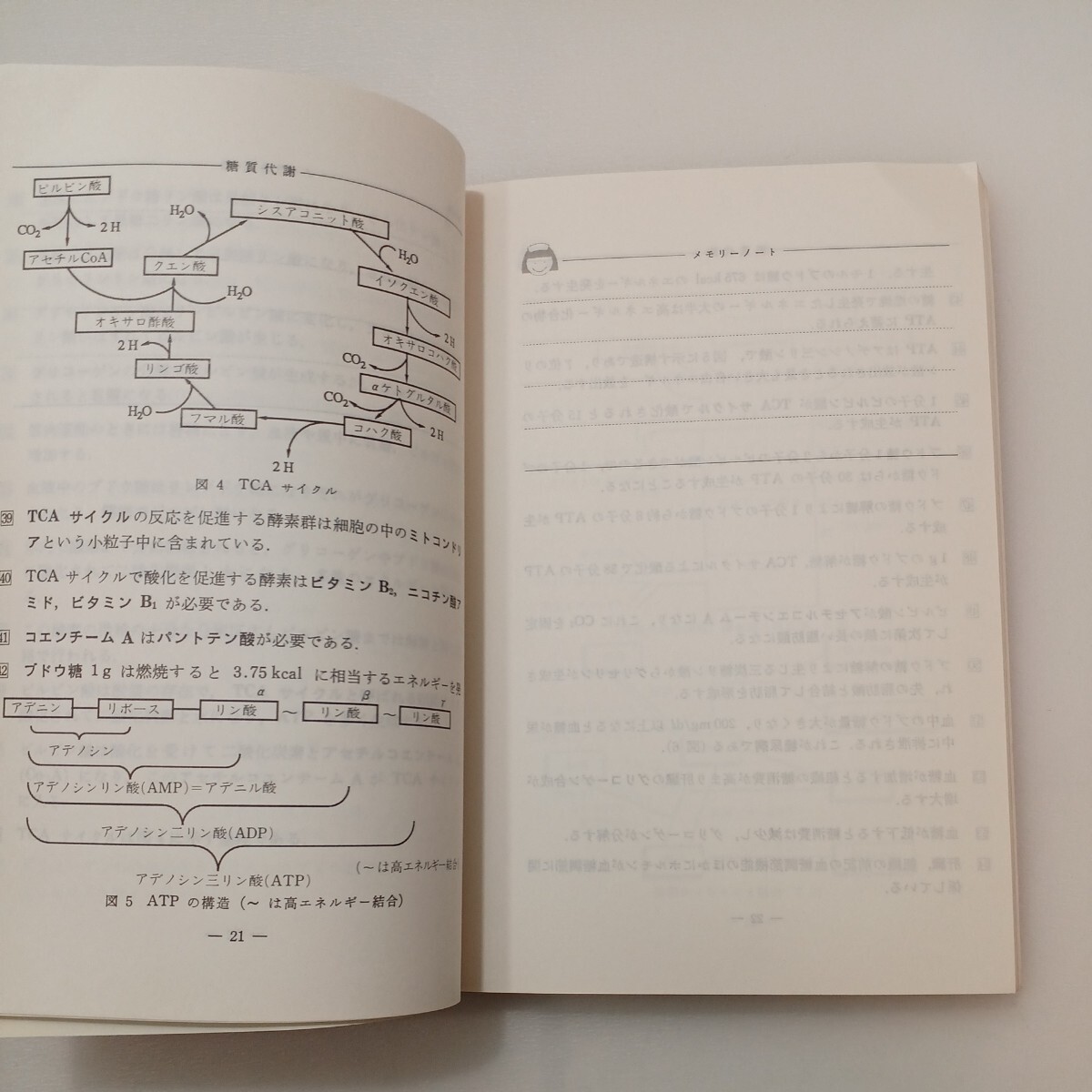 zaa-579♪メモリーノート－看護・生化学　栄養学 　一番ケ瀬　尚(著) 廣川書店 1994年06月