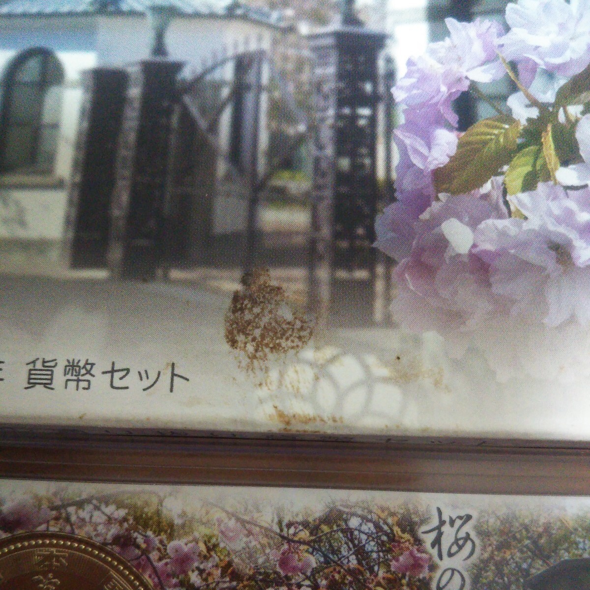 【貨幣セット/桜通】 平成24年 2012 桜の通り抜け ミントセット _画像6