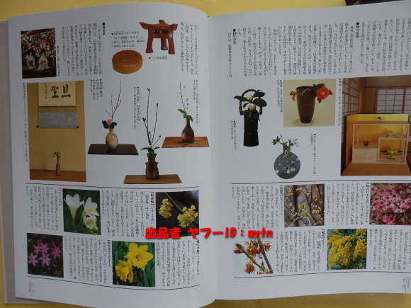 美品★四季花ごよみ ＜春＞ 草木花の歳時記 大型本 講談社 _画像6