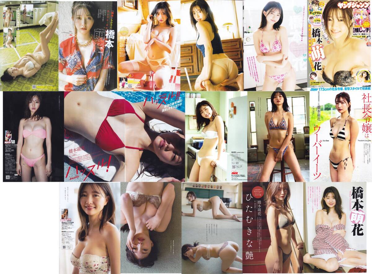  Hashimoto . flower magazine scraps 35 sheets 63 page minute 