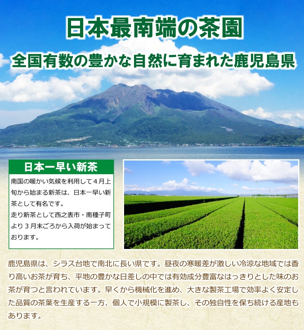 送料無料 知覧 鹿児島茶 100g×3袋セット　　お茶 緑茶 煎茶 茶 茶葉 お茶葉 鹿児島 九州 国産 深蒸し 深むし 健康 健康茶_画像3