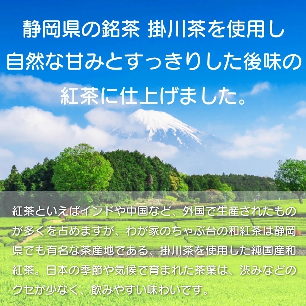 国産紅茶　2g×110P 送料無料 和紅茶 紅茶 ティーバッグ ティーパック ティー_画像4