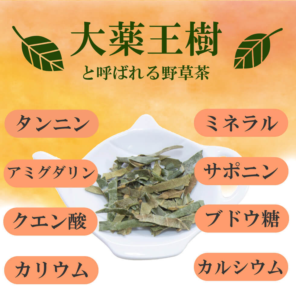 びわの葉茶 3g×40P 　～ 送料無料 ビワの葉茶 びわのは茶 ティーバッグ ビワ 枇杷 葉 茶 大薬王樹 健康茶 ノンカフェイン メール便 ya_画像4