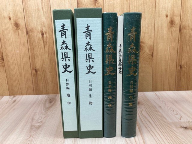 Vergletscherungen in Japanischen Gebirgen und ihr Einfluss auf die Entwicklung des Biva-Sees Shoji Horie /堀江 Vergletscherungen in Japanischen Gebirgen und ihr Einfluss auf die Entwicklung des Biva-Sees Shoji Horie /堀江