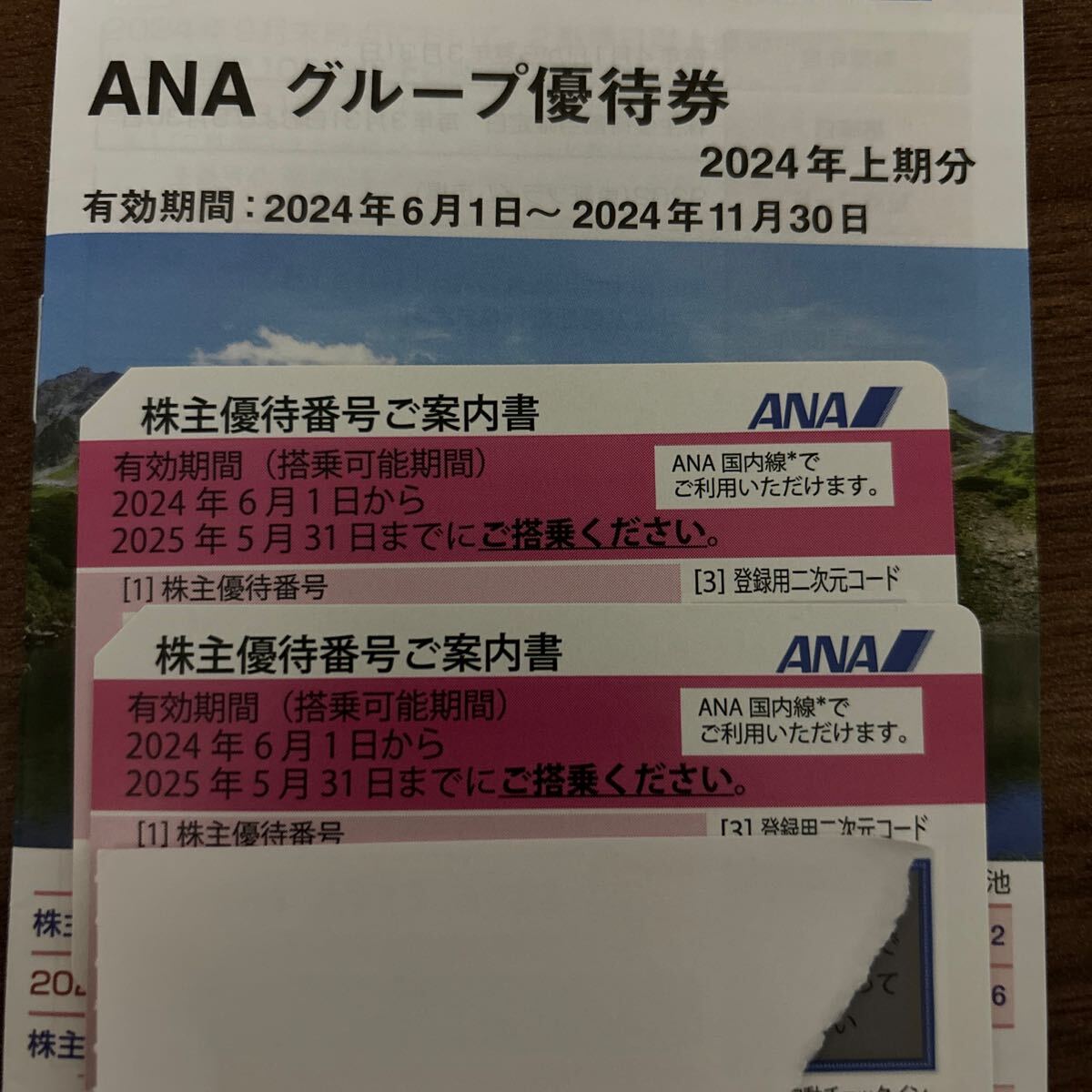 ANA 株主優待券２枚　グループ優待券　全日本航空_画像1