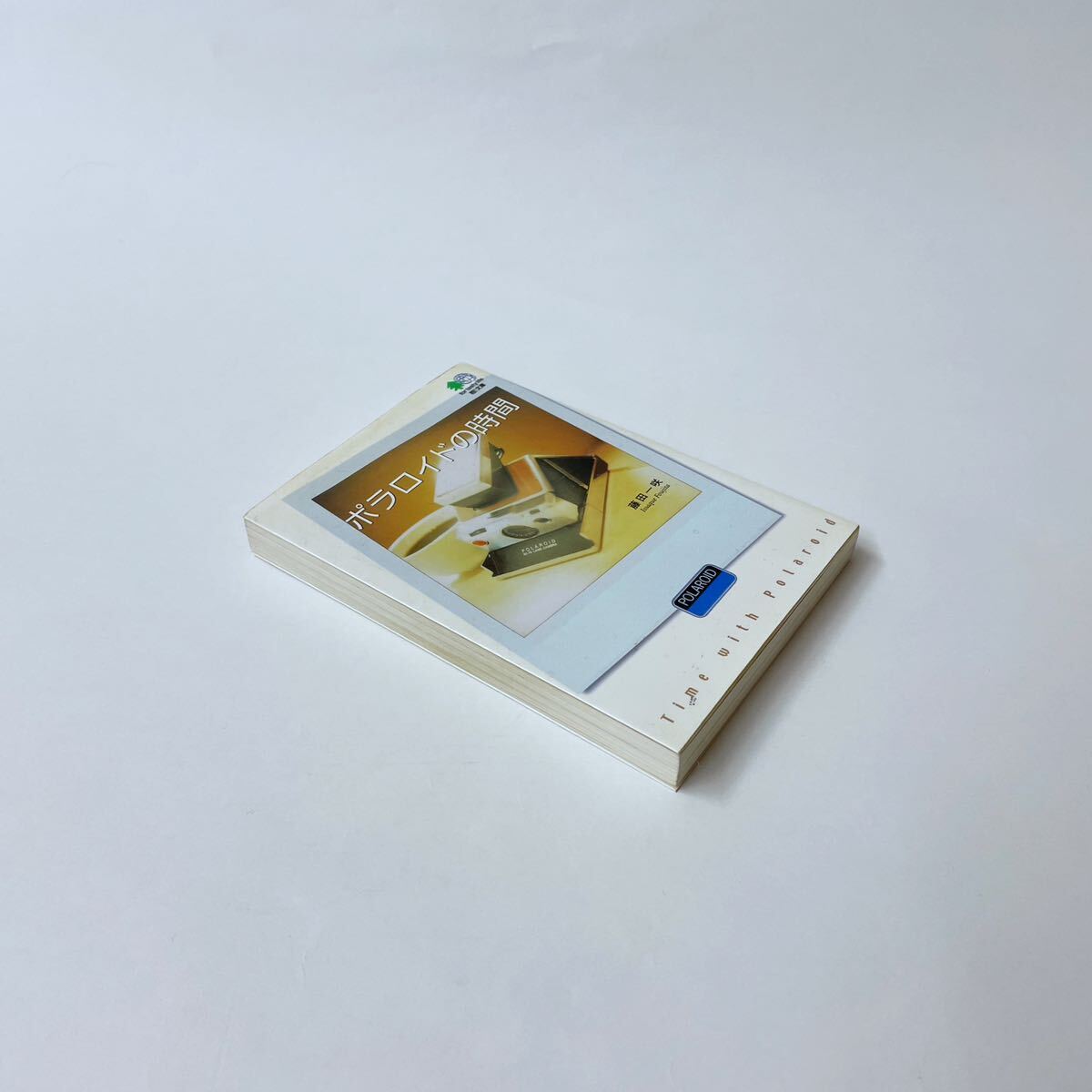 【絶版/希少】[Polaroid] 本２冊セットの画像4