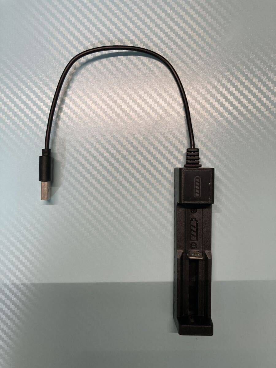 USBリチウム電池高速充電器_画像1