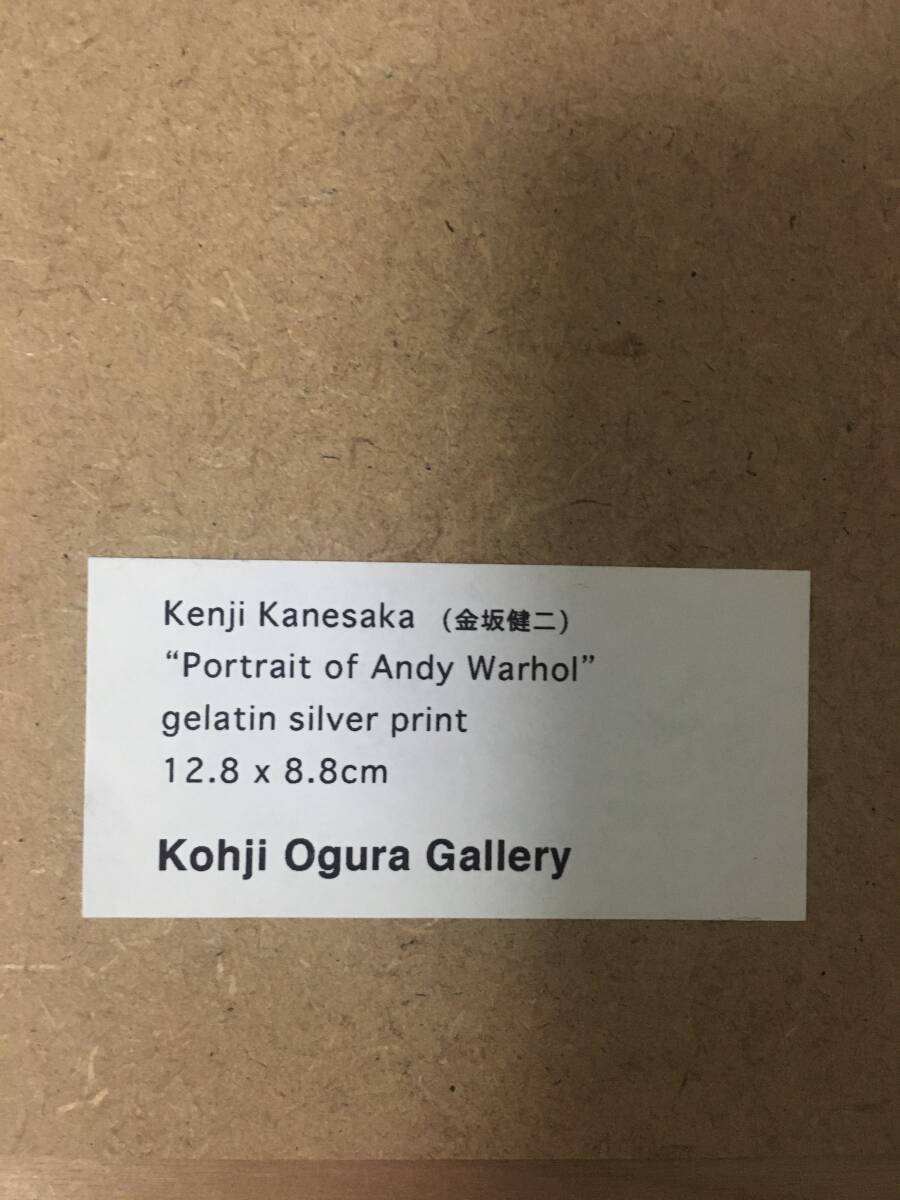  прекрасный товар Kenji Kanesaka золотой склон . 2 Portrait of Andy Warhol Anne ti War ho ru