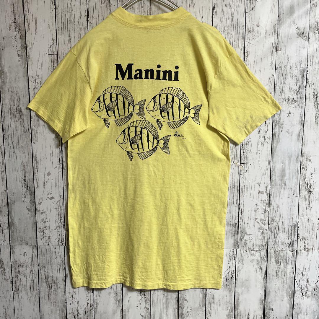 70's Hanes ヘインズ USA製 アメリカ製 ビンテージTシャツ L 70's Hanes ヘインズ USA製 アメリカ製 ビンテージTシャツ L