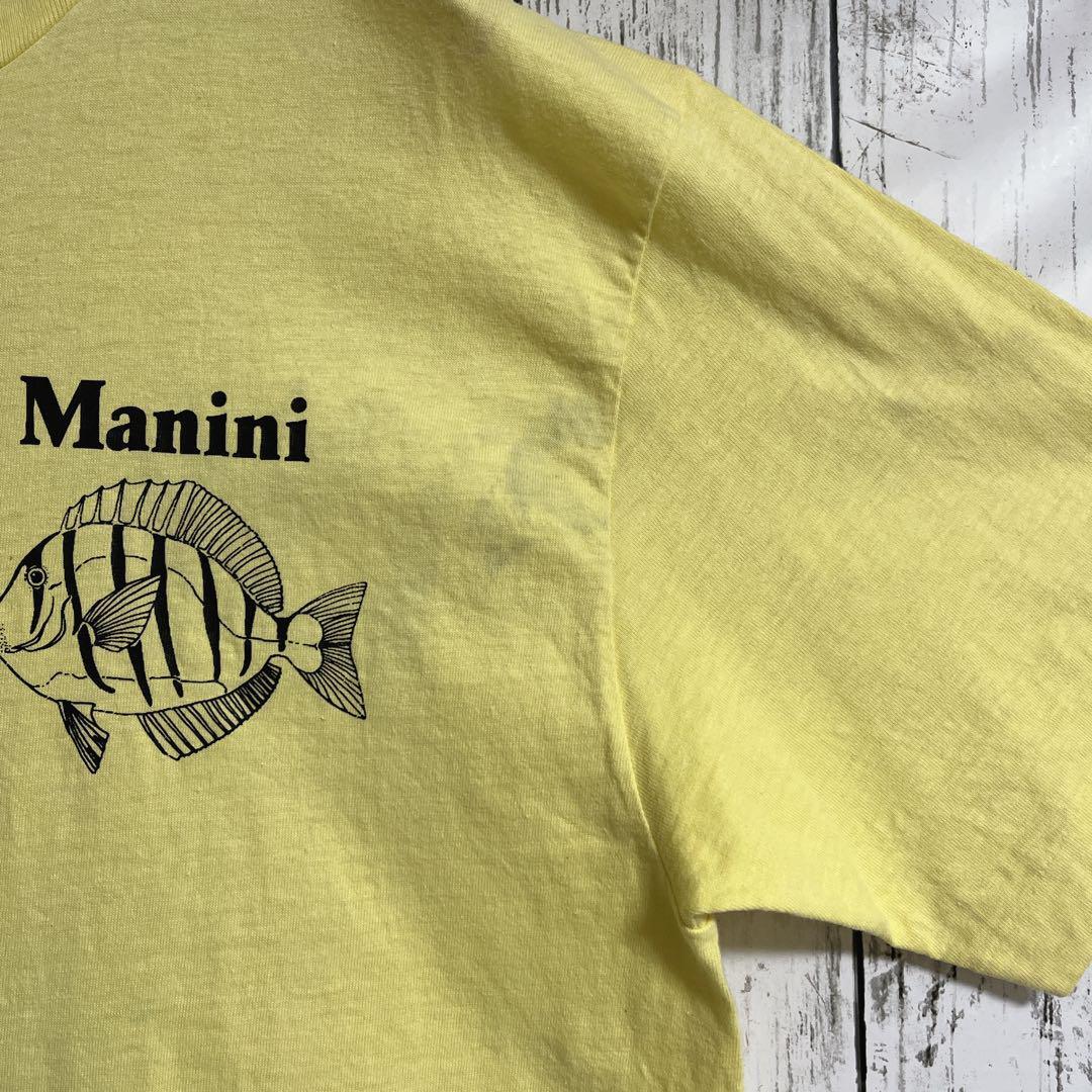 70's Hanes ヘインズ USA製 アメリカ製 ビンテージTシャツ L 70's Hanes ヘインズ USA製 アメリカ製 ビンテージTシャツ L