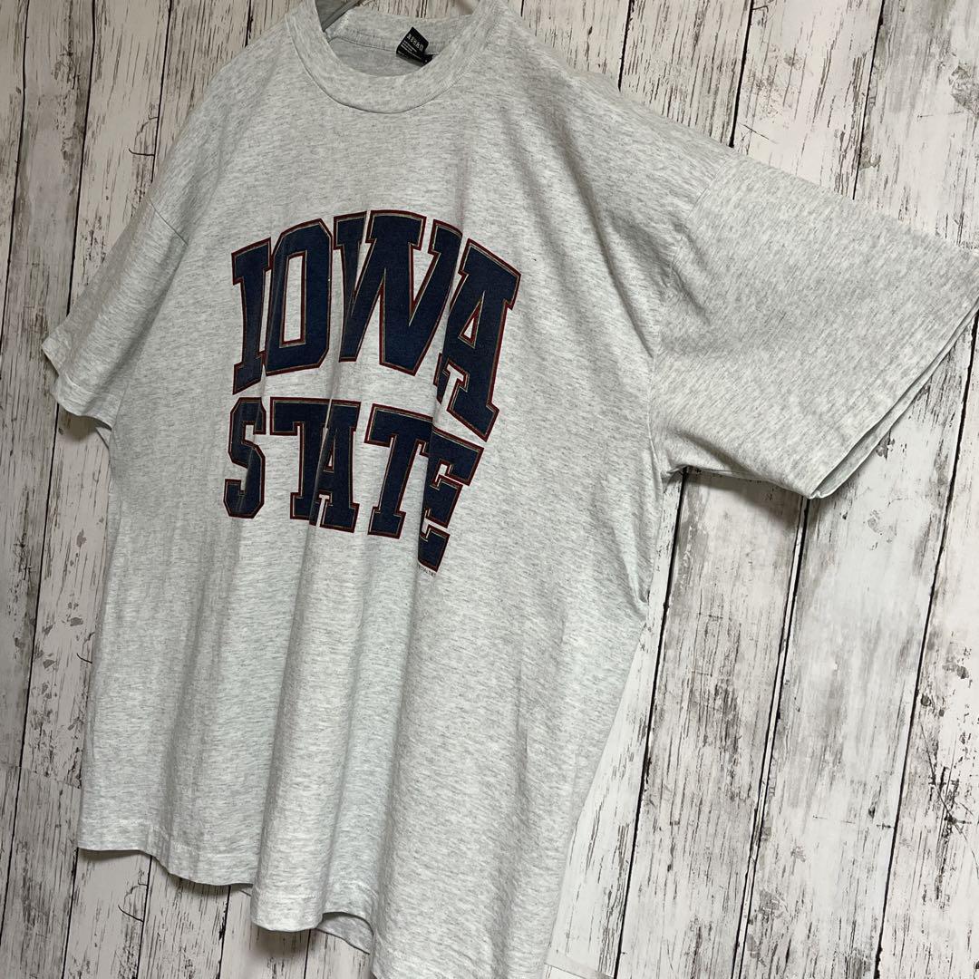 90's フルーツオブザルーム USA製 アメリカ製 ビンテージTシャツ グレー XL 90年代ヴィンテージ シングルステッチ US古着 HTK3933_画像2