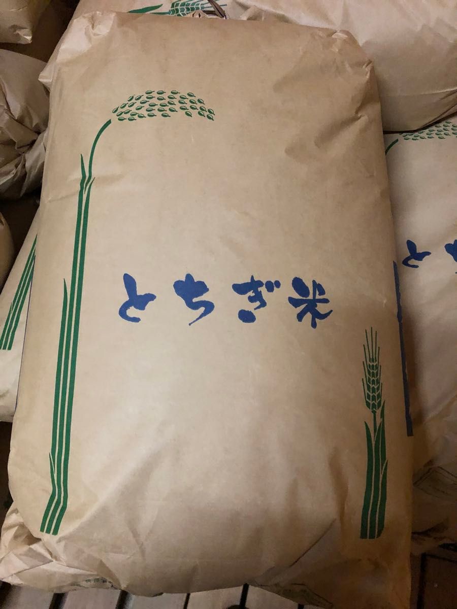 色彩選別済、栃木県産農家直送新米コシヒカリ24kg