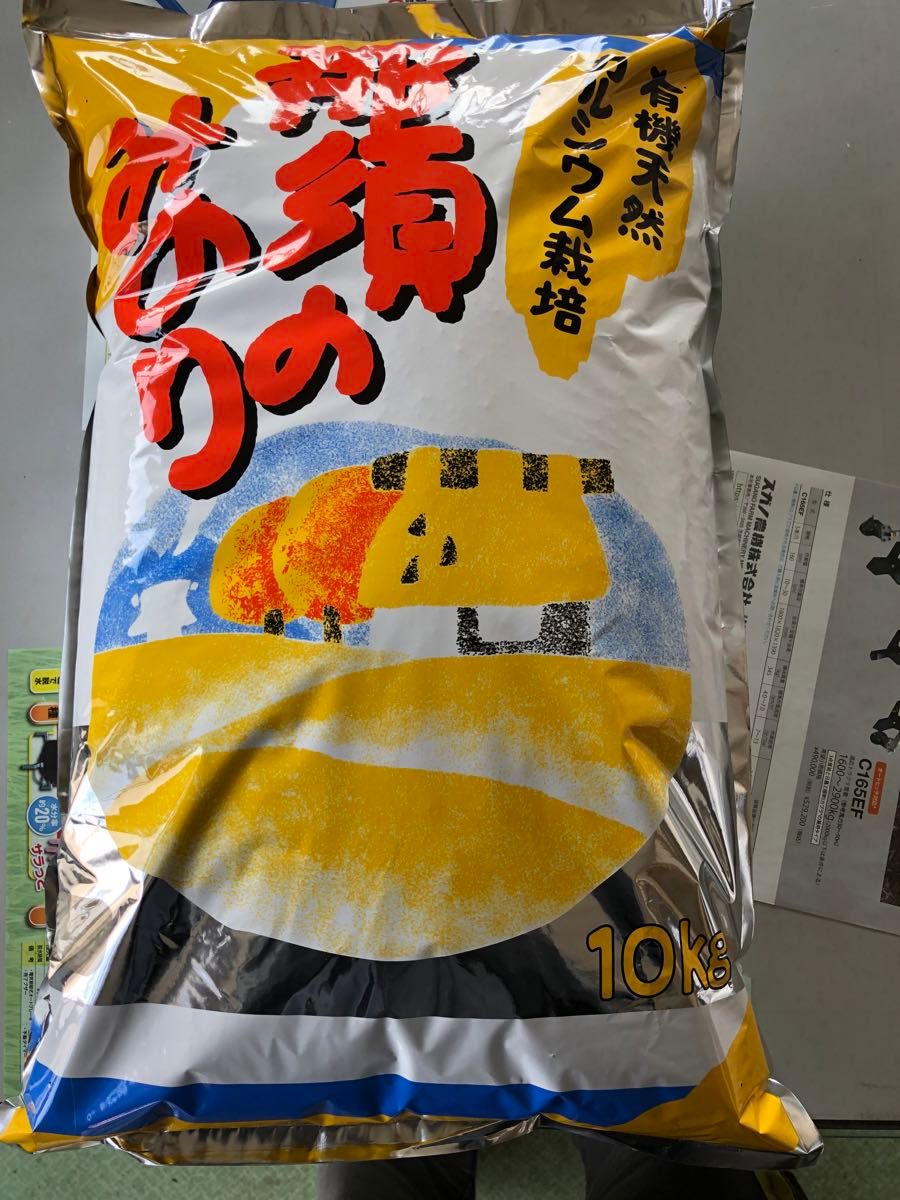 色彩選別済、栃木県産農家直送新米コシヒカリ10kg残りわずかです。