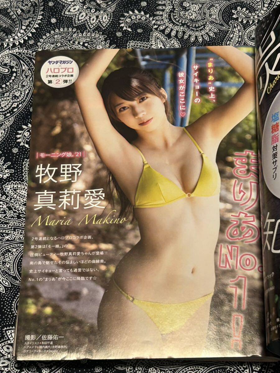 週刊ヤングマガジン 2021 42 牧野真莉愛 桜井木穂 ギャルせん 新連載の画像2