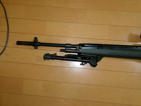  round M14 long range custom 