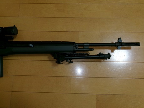  round M14 long range custom 