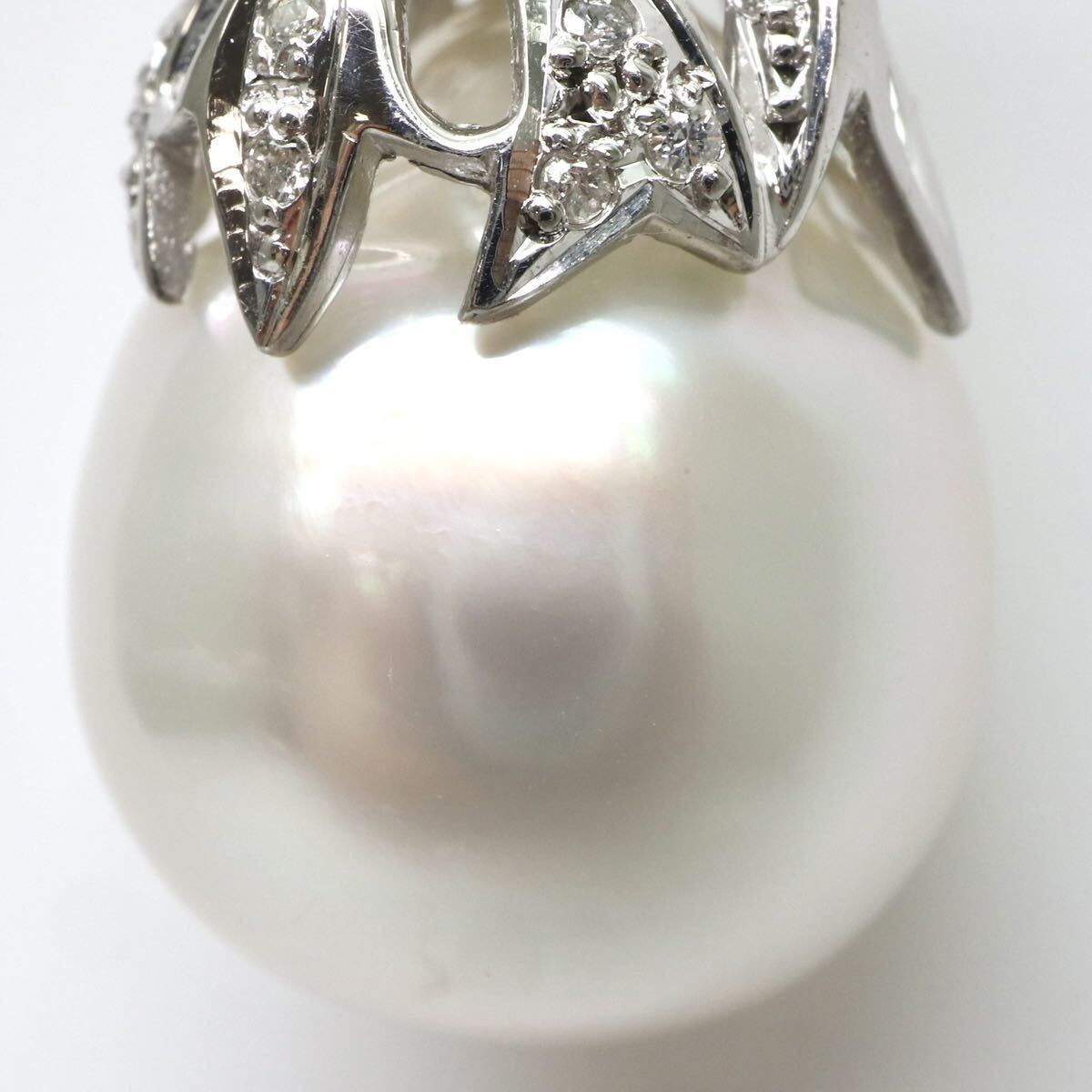  gorgeous!!*Pt900 south . White Butterfly pearl / natural diamond pendant top *M* approximately 9.6g 15.0mm. pearl pearl diamond jewelry necklace ED6/ED6