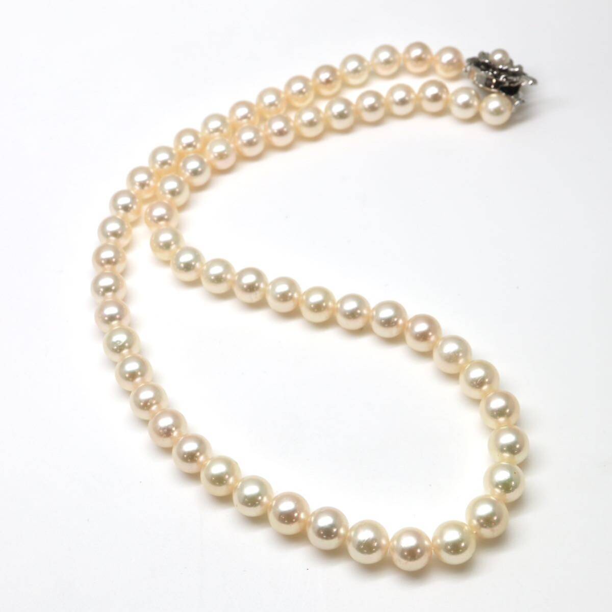 テリ良し!!◆アコヤ本真珠ネックレス/ 19 ◆M 約33.0g 約42.5cm 7.0-7.5mm珠 pearl パール jewelry necklace ジュエリー DD0/DD0の画像8