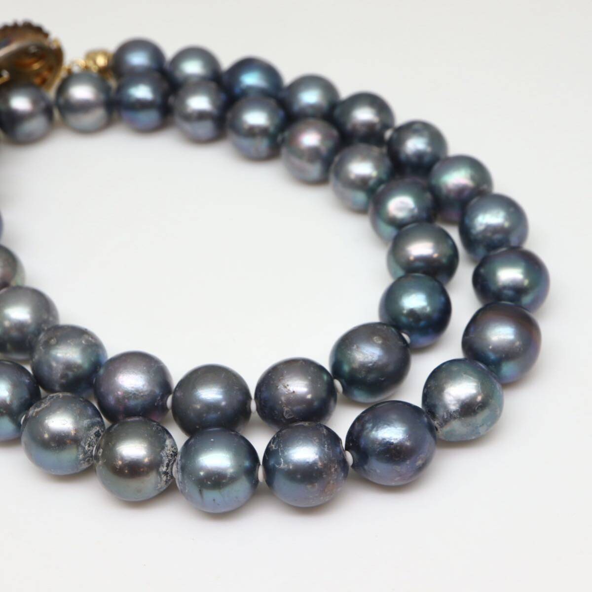 ◆アコヤ本真珠ネックレス/ 21 ◆M 約51.4g 約41.5cm 9.0-9.5mm珠 pearl パール jewelry necklace ジュエリー DB0/DC0の画像5