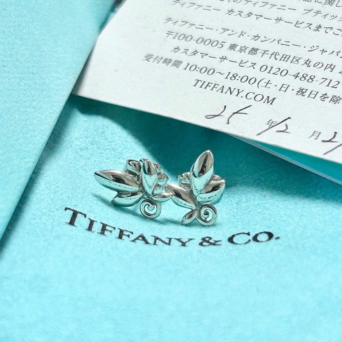 ティファニー　オリーブ　リーフ　ピアス　Tiffany シルバー　両耳　美品　保証書　付属品