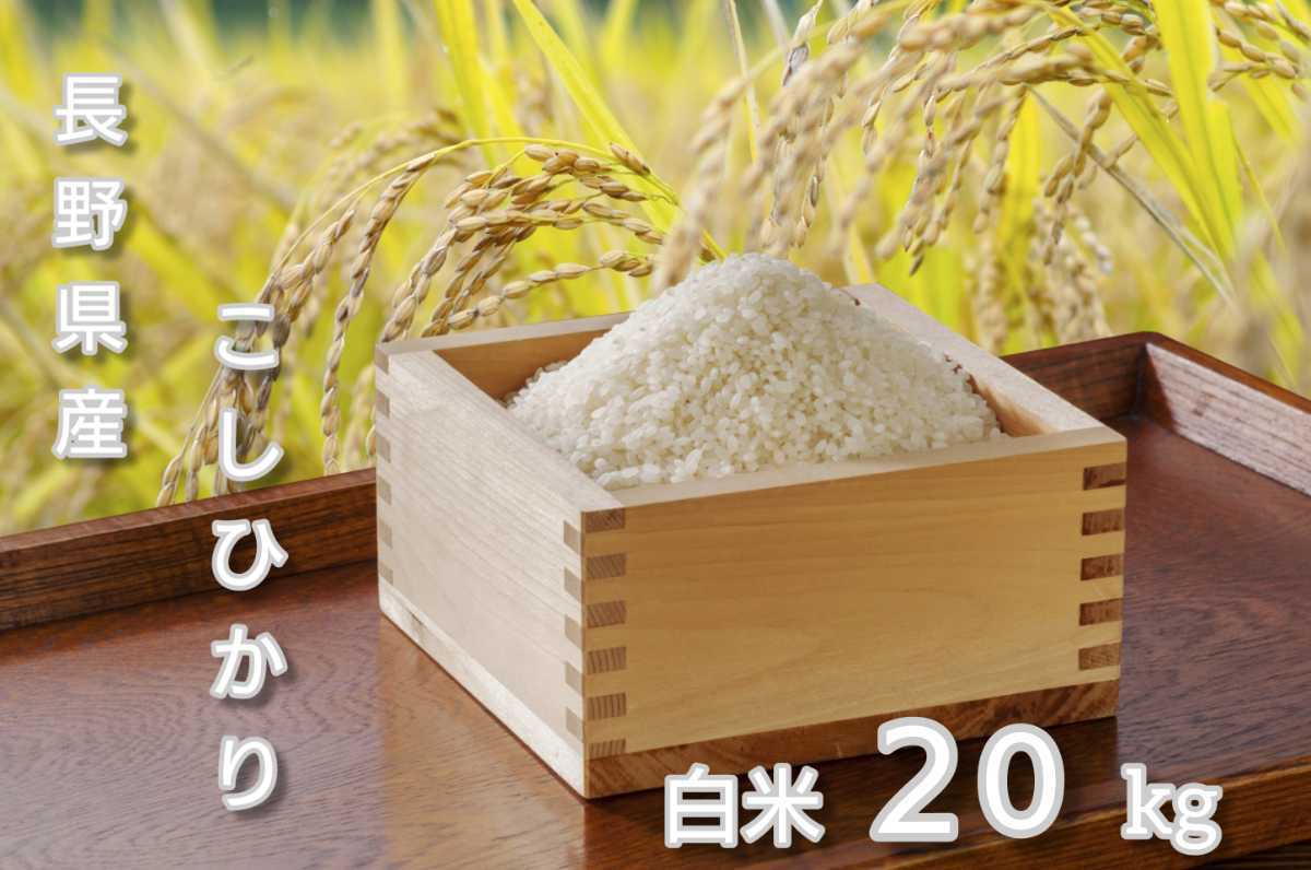 [ white rice ]. peace 5 year Nagano prefecture production Koshihikari 20 kilo (10 kilo ×2 sack ) shelves rice field rice . rice . length . delivery!!