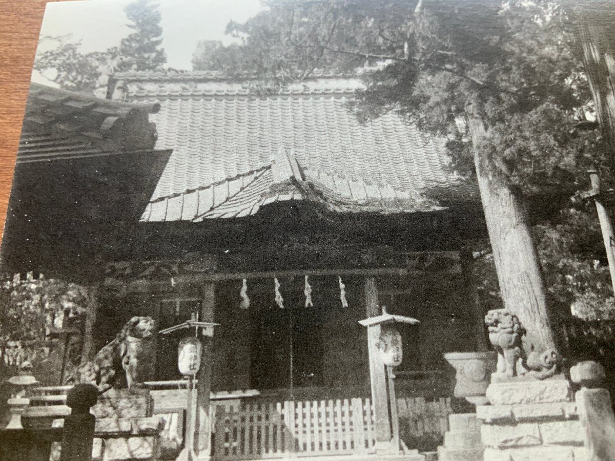 VV-2352 ■送料込■ 埼玉県 本庄市 県社 金鑚神社 狛犬 提灯 建築物 庭 鳥居 神社 寺 宗教 風景 レトロ 絵葉書 古葉書 写真 古写真/くNAら_画像3