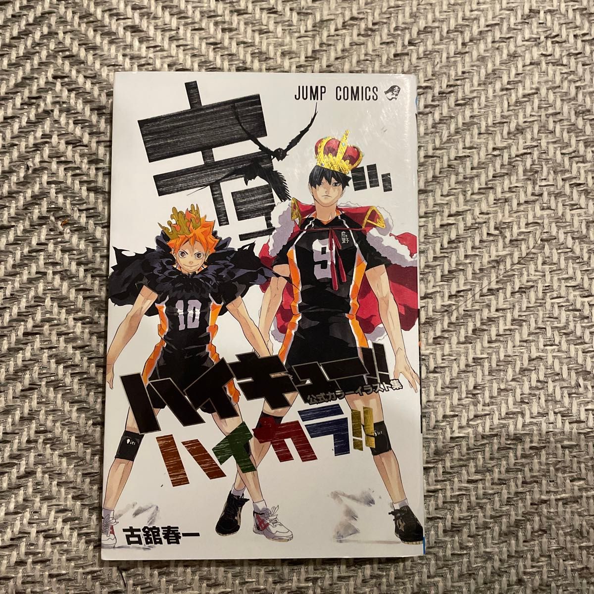 ハイカラ ハイキュー 公式カラーイラスト集 (ジャンプ ハイカラ ハイキュー 公式カラーイラスト集 (ジャンプ