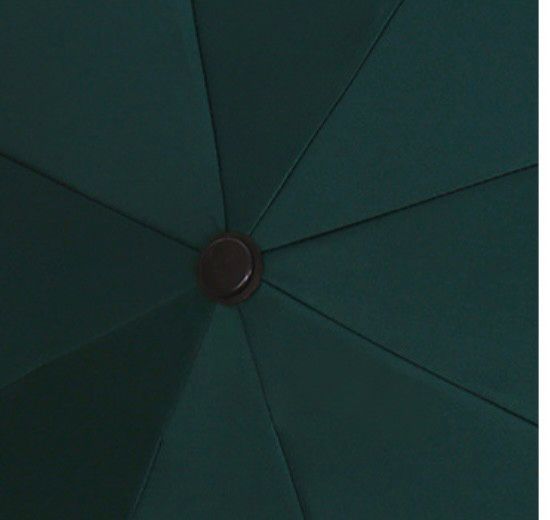 晴雨兼用 日傘 雨傘 UVカット 日除け 紫外線対策 遮光 ワンタッチ 全自動 大きめ 緑 グリーン 花柄 折りたたみ傘