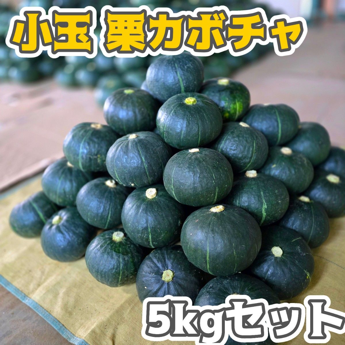 ☆期間限定セール中☆【石垣島産】小玉栗かぼちゃ 5キロセット 送料込