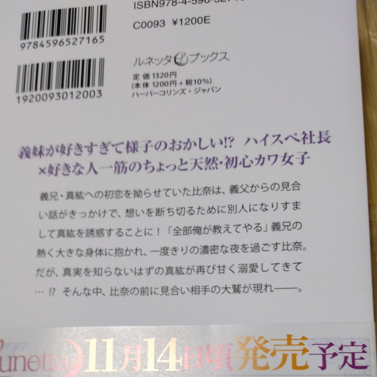 お義兄さまは溺愛の鬼！