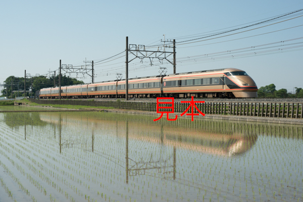 鉄道写真データ（JPEG）、00992611、100系（103F）、特急きぬ、東武鉄道伊勢崎線、姫宮〜東武動物公園、2018.05.05、（7360×4912）_画像1