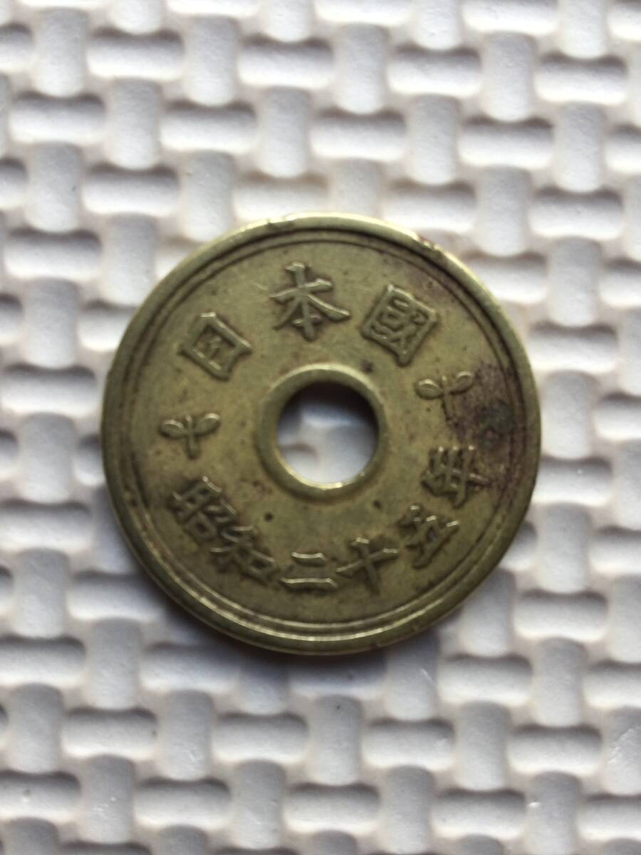 昭和25年穴あり五円(フデ五)黄銅貨(楷書体)エラーコイン(小穴ズレ) (流通品)の画像2