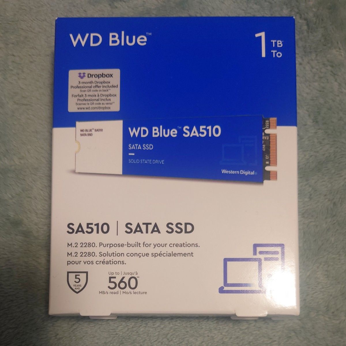 WD ウエスタンデジタル 内蔵SSD 1TB WD Blue SA510 M.2-2280 SATA WDS100T3B0B-EC